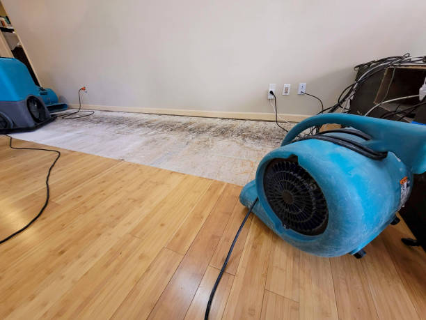 Reliable Crawl Space Water Removal contractor in Pittstown, NJ by Hirex Water Damage