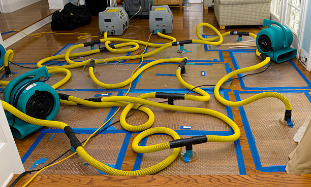Professional Crawl Space Water Removal technician working in Pittstown, NJ